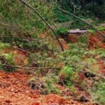 WhatsApp-Image-2024-11-21-at-20.37.01_81197e93