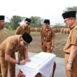 WhatsApp-Image-2024-12-02-at-18.42.09_13f8c2ab-768x511