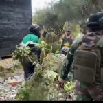 Screenshot_20251118-170740