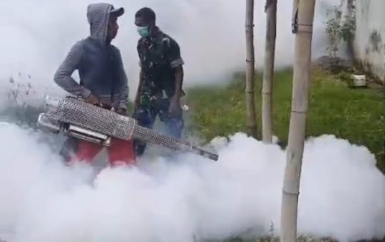 Cegah Demam Berdarah, Babinsa Duduksampeyan Dampingi Penyemprotan di Tambakrejo