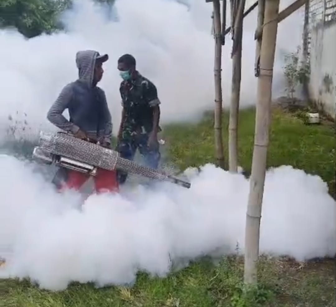 Cegah Demam Berdarah, Babinsa Duduksampeyan Dampingi Penyemprotan di Tambakrejo