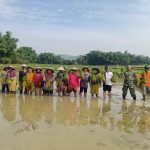 Babinsa Jrengik Kawal Petani Tanam Padi di Jungkarang ,Menunjukan Komitmen dan Ketahanan Pangan Babinsa Jrengik Kawal Petani Tanam Padi di Jungkarang ,Menunjukan Komitmen dan Ketahanan Pangan
