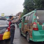 WhatsApp Image 2026-02-19 at 17.00.28