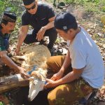 Semangat Iduladha, Ketua Pokja Wartawan Bandung Barat Sembelih dan Bagikan Hewan Qurban IMG_20260530_135623