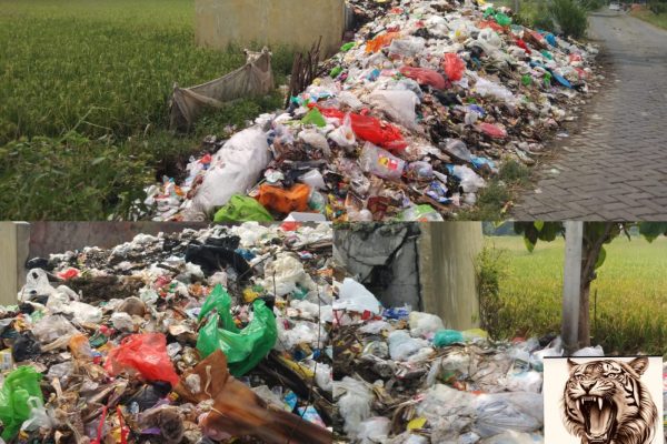 Sampah Menggunung di Balongpanggang, Warga Keluhkan Bau Menyengat dan Ancaman Lingkungan