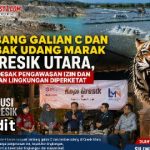 Tambang Galian C dan Tambak Udang Marak di Gresik Utara, Warga Desak Pengawasan Izin dan Pemulihan Lingkungan Diperketat Screenshot_20260828-124029~2
