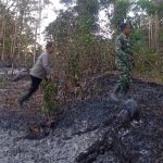 Kebakaran Lahan Du Padaherang Pangandaran 1,5 Hektar Perkebunan Terbakar